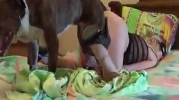 Domestic animal bestiality erotica
