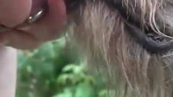 A pierced shaft teases the canine's tongue