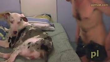 Adult man licked pussy to his big dog