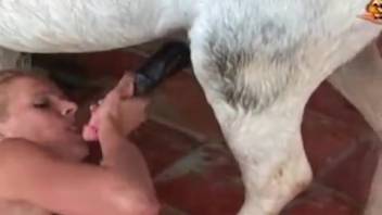 Monster cock is a really awesome plaything to suck on