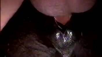 Huge guy's cock butt-fucks ebony stallion
