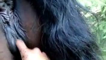 Nasty anal pounding of a black male escort's hole