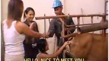 Graphic sexual encounters involving gentle farm creatures