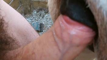 Screw your fuzzy cock dark void pale stallion