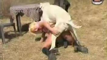 Filthy slut gets into doggy style and crams her pussy with a male pet dog's cock