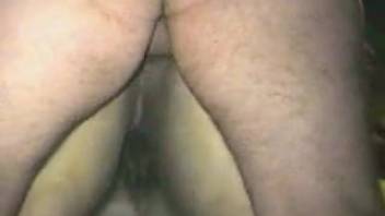 After stroking the horse's rear end, the man had sex with her
