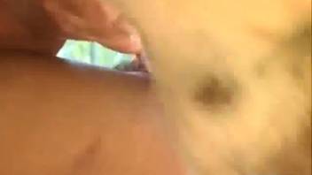 Stallion banging satisfying babe getting equine cock in her pussy
