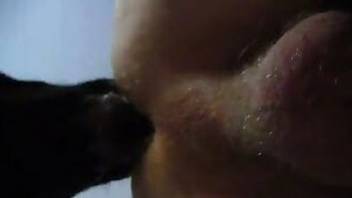 Huge hairy black dick fuck naked guy with cancer