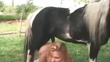 Impressive sex action with a hardcore animal