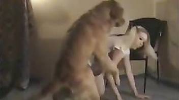 Large dog worships his mistress and fucks her