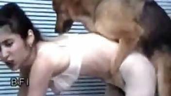 Perfect long fuck of a kinky girl with a horny dog