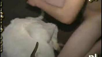 Unfortunate barnyard creature forced into filthy intercourse