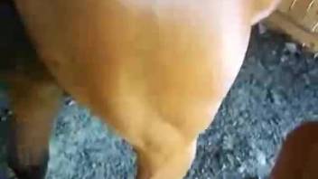 Unfortunate slut's butt is enduring a damn rough pounding