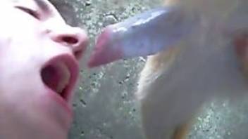 The guy makes a dog blowjob and swallows his sperm