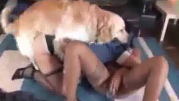 Pair of beast-lovers and a canine