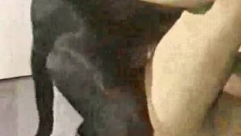 Beast-loving dog screwer