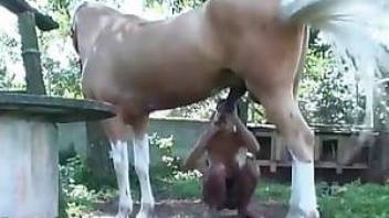 Zoophile video with a perverted young girl
