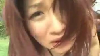 Canine penetrates woman in doggy position beside her girlfriend. Complimentary zoophilia and animal sex content