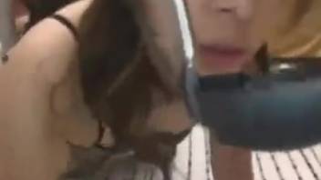 Animal sex videos featuring youthful Asian females. Complimentary zoophilia and beast porn