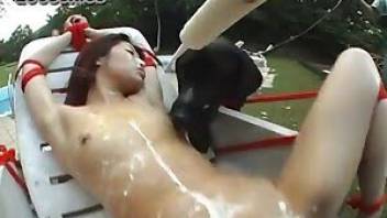 Bound Japanese slave licked by dogs