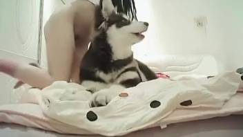 Homemade Asian beast sex is perpetually the most insane. Complimentary zoophilia and creature erotica