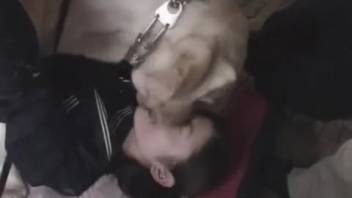 Asian teen in uniform bangs a canine in a steamy clip