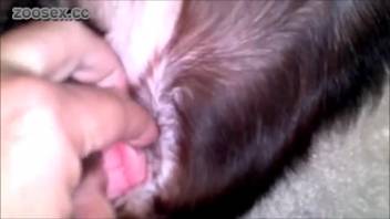 Complimentary animal sex vaginal fingering. No-cost zoophilia and beastly erotica