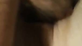 Complimentary animal sex video featuring a filthy bestiality-obsessed duo