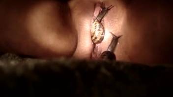 Animal sex video starring a hot tiny snail. Complimentary zoophilia and beast porn