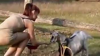 Skinny amateur tries to seduce a goat
