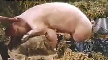 Pig with a weird dick fucking two amateurs