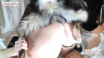 Animal sex film featuring a massive internal cumshot