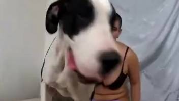 Bald snatch babe screws a filthy mutt