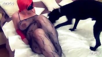Dog porn scene with a redheaded diva