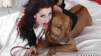 Dog sex movies with oral are the  best