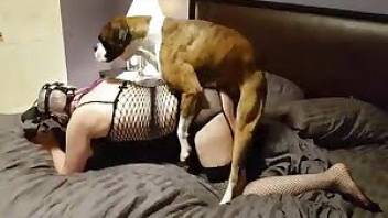 Sensual chick fucked by her doggy