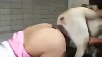 Gorgeous Asian sucks dog dick with love