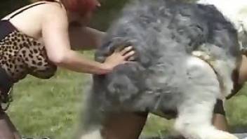 Bestial zoophilic porn with a massive dog
