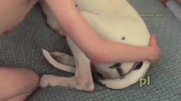 Canine copulation: Bearded guy penetrates beast and tongues her