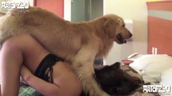 Canine intercourse in a complimentary bestiality clip