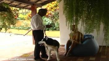 Destitute but alluring female engages in intercourse with a canine. Complimentary zoophilia and beast-themed erotica