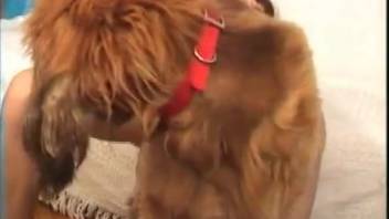 Tall-legged hottie screwed by a hot canine