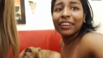 Real-time broadcasts of canine intercourse clips featuring Latina women