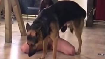 Bestiality rendezvous with a dark-haired vixen