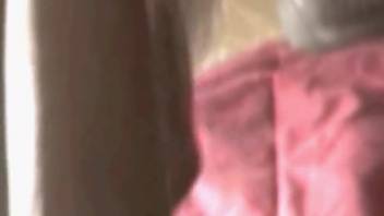 Canine screwing chick's snug vagina on webcam
