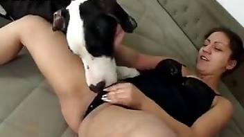 Dog porn with a compulsive masturbator. Free bestiality and animal porn