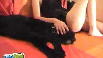 Dog fucks girl after she teases him. Free bestiality and animal porn