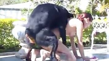 Dog fucks woman hard outdoors. Free bestiality and animal porn
