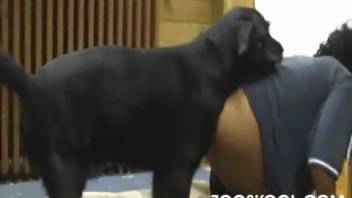 Bronzed beauty gets on hands and knees for her canine