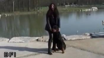 Young woman is screwed by a canine after strolling